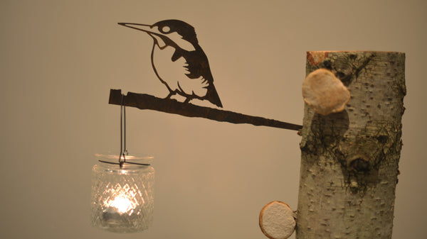 Birdwise - Eisvogel
