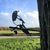 Birdwise - Magpie