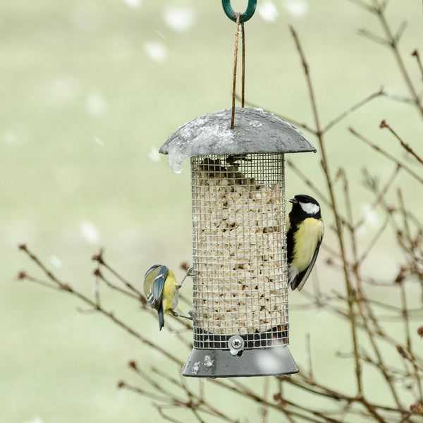 Peanut silo Adventurer 24 cm