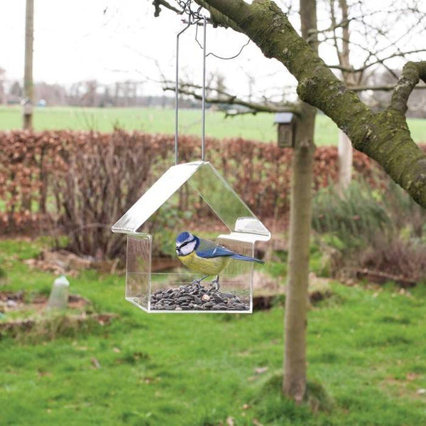 Acrylic hanging feeding table transparent