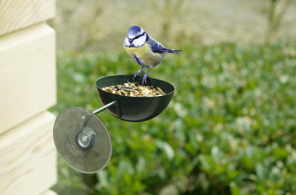 Fensterfutterhäuschen dunkelgrün