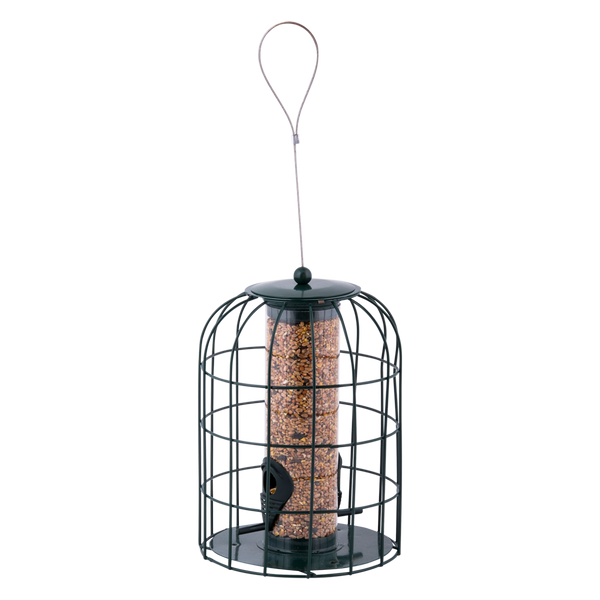 Vogelfutterspender Samensilo Anti-Eichhörnchen