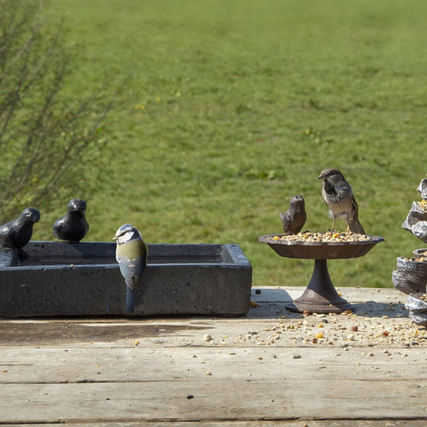 Quadratisches Vogelbad aus Terrazzo