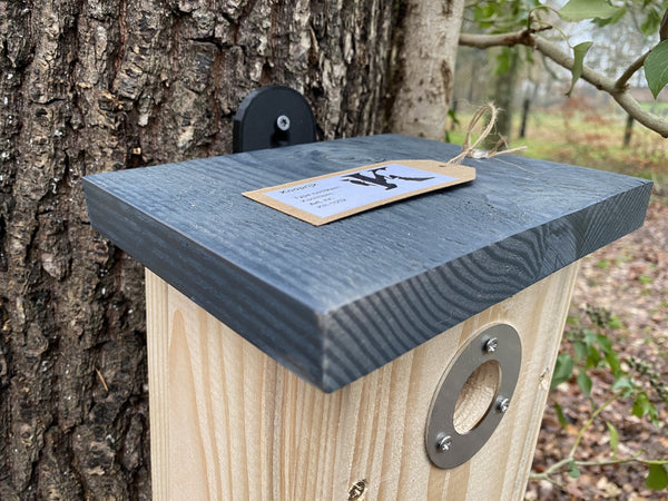 Kooprijk - Kohlmeise