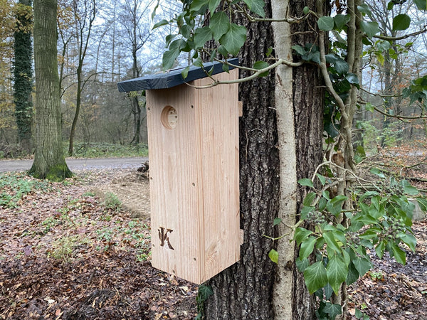 Specht-Nistkasten Douglasienholz Edelstahlscharnier | Kooprijk