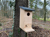 Kooprijk - Squirrel