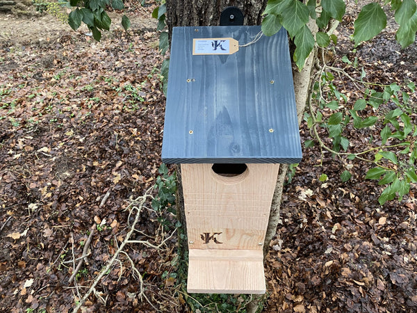 Kooprijk - Squirrel