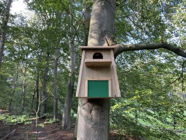 CaptureWILD - Schleiereule