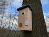 CaptureWILD - Great Tit