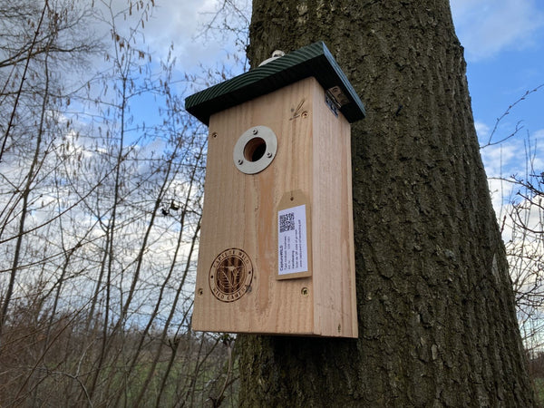 CaptureWILD - Great Tit