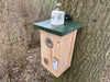 CaptureWILD - Great Tit