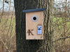 Kooprijk - Blue Tit