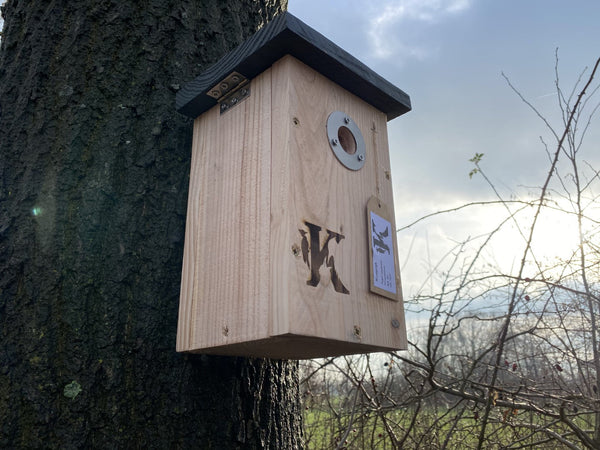 Nichoir pour mésange bleue en bois de douglas inox 29mm | Kooprijk