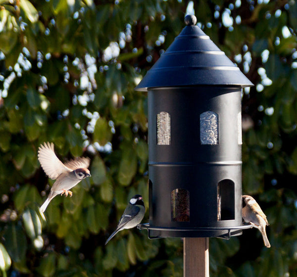 Gigantmatare feeding silo XL black