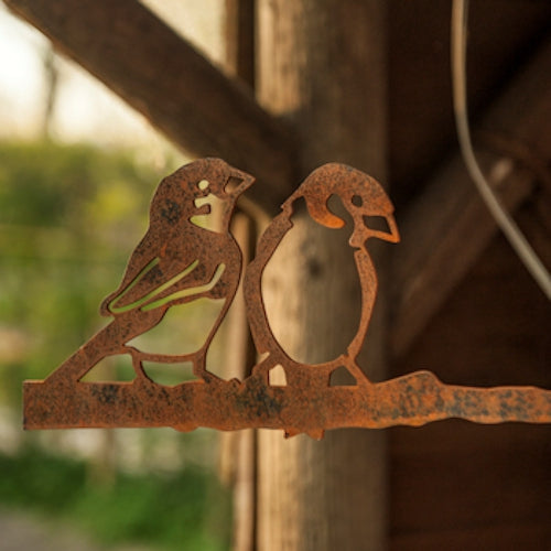Birdwise - Haussperling-Pärchen