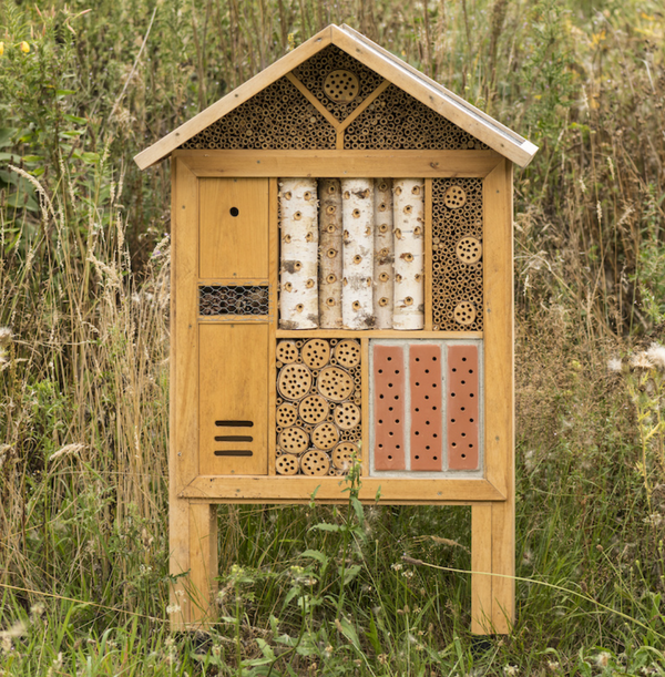 Insektenhotel Korsika