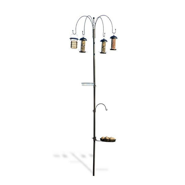 Tambora feeding station