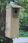 CaptureWILD - Woodpecker