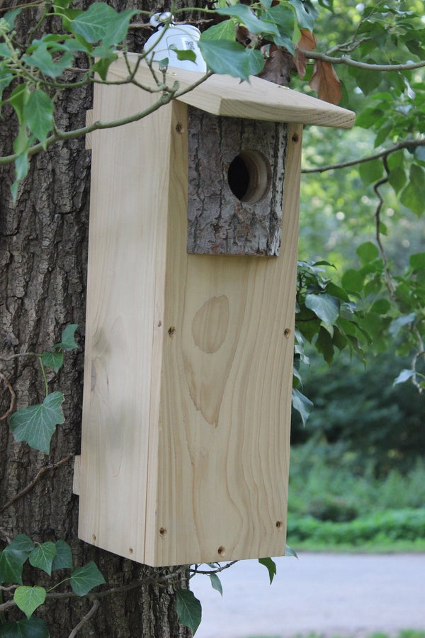 CaptureWILD - Woodpecker