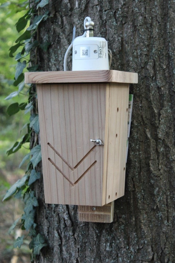 CaptureWILD - Fledermaus