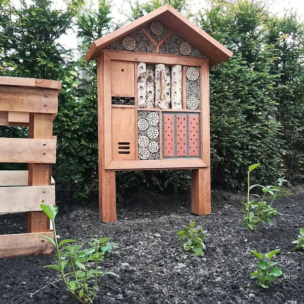 Corsica insect hotel