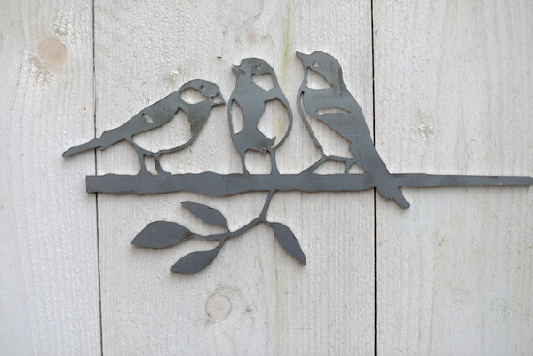 Birdwise - Kohlmeisentrio