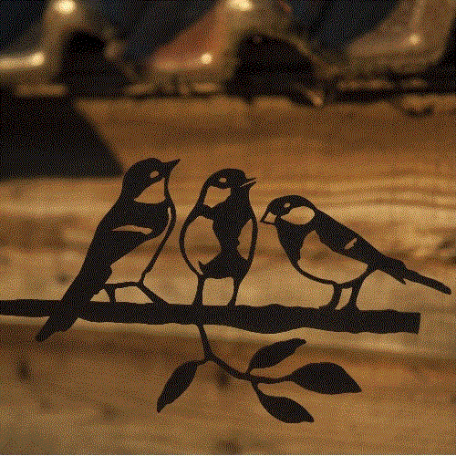 Birdwise - Kohlmeisentrio