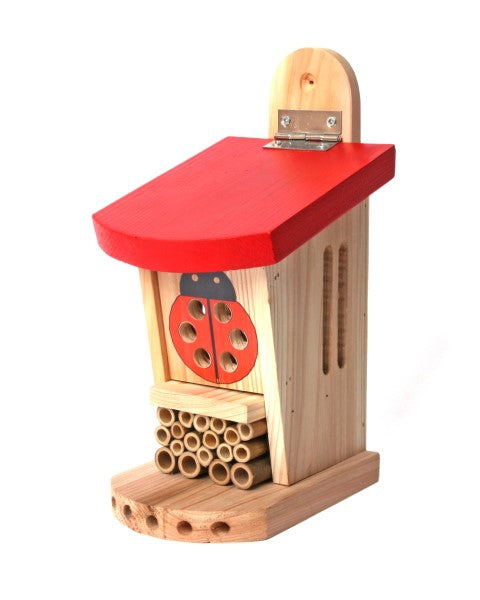 Ladybird & Insect Lodge