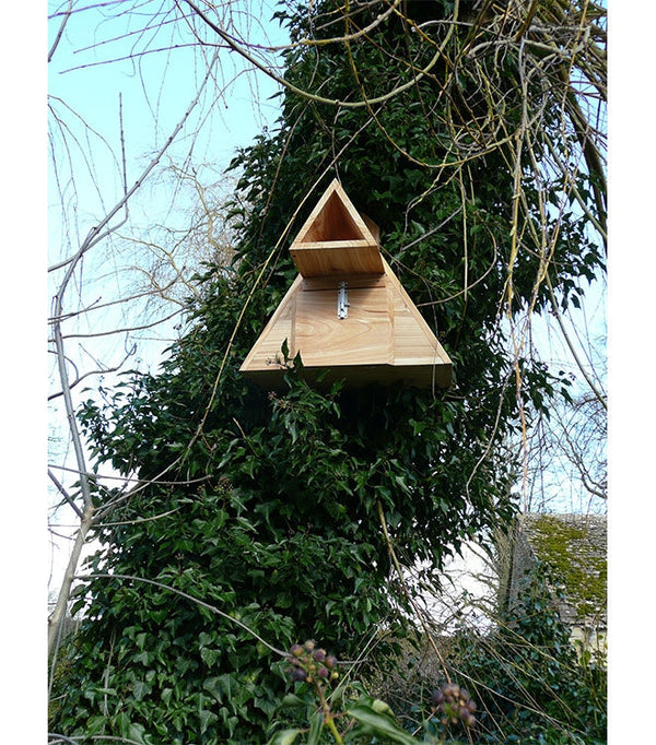 Little Owl nest box