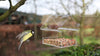 Acryl Hänge-Futtertisch transparent