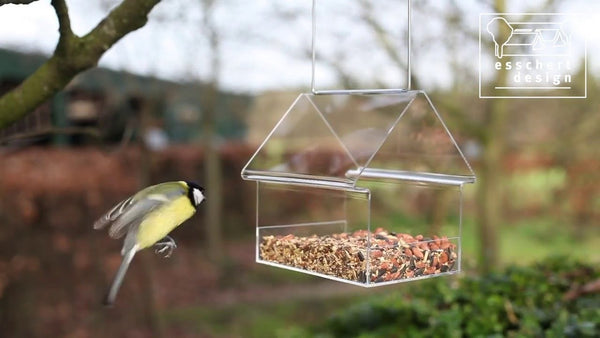 Acrylic hanging feeding table transparent