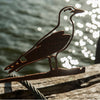 Birdwise - Seagull
