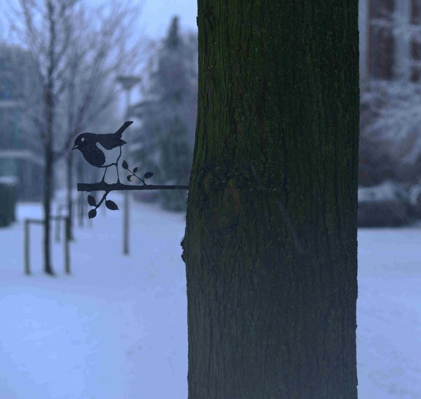 Birdwise - Robin