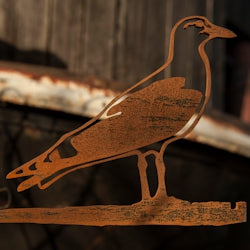 Birdwise - Seagull