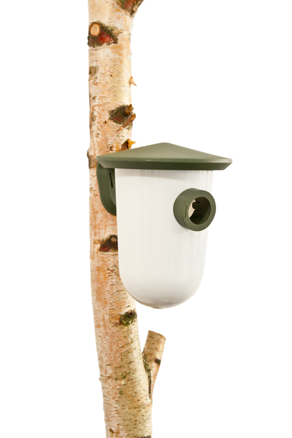 Nichoir breedR Wild Vert Ouverture interchangeable | SingingFriend