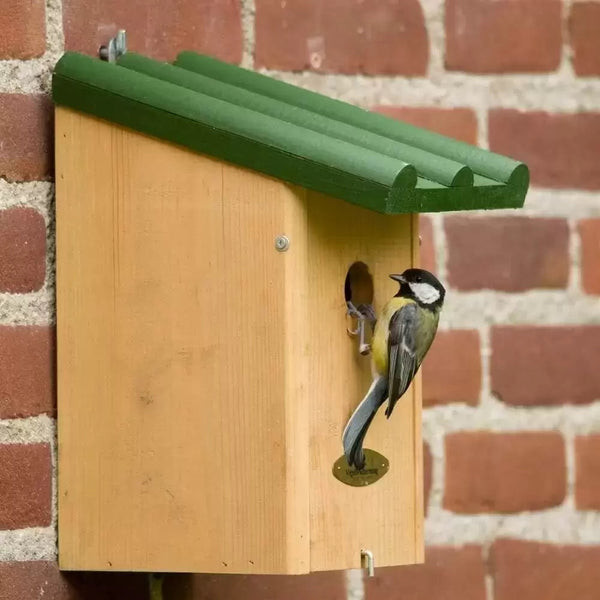 Nest box Toronto