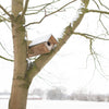 Little Owl Birdhouse