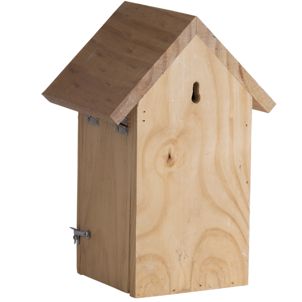 Nesting box blue tit silhouette