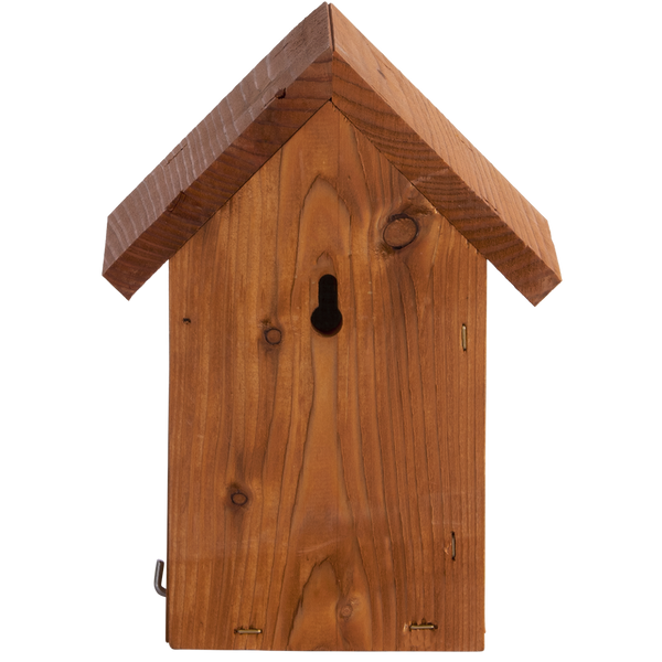 Nesting box Wren Douglas Wood