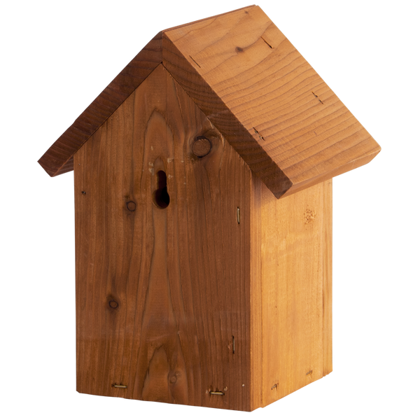 Nesting box Wren Douglas Wood