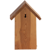 Nesting box Blue tit Douglas wood