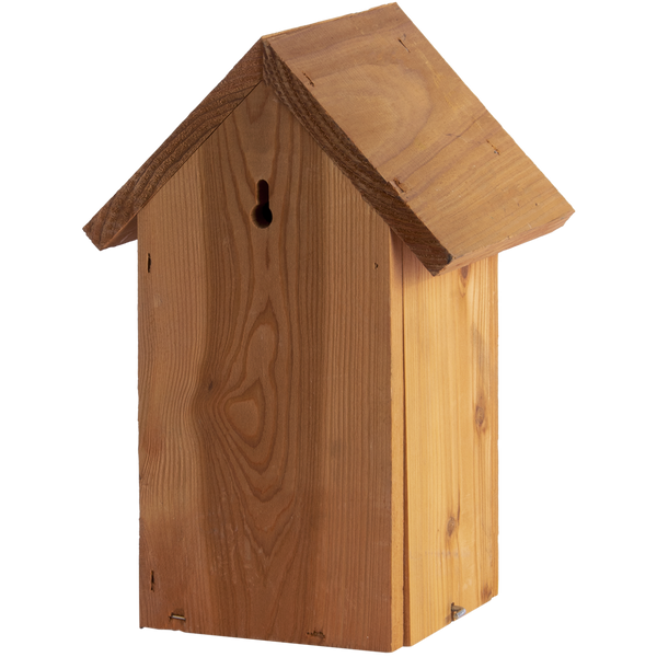 Nesting box Blue tit Douglas wood