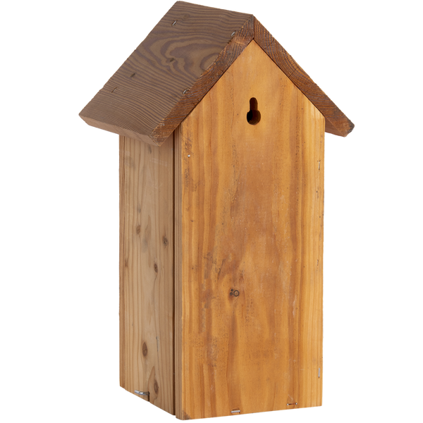 Nesting box Great tit Douglas Wood