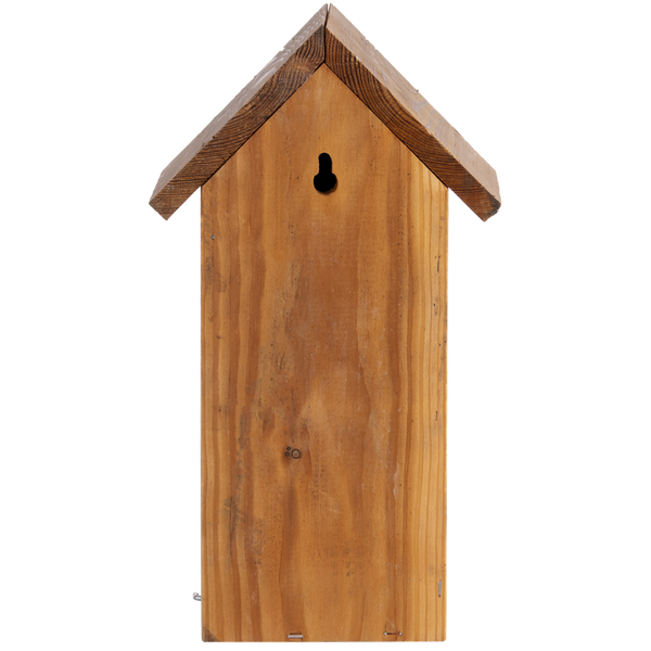 Nesting box Great tit Douglas Wood