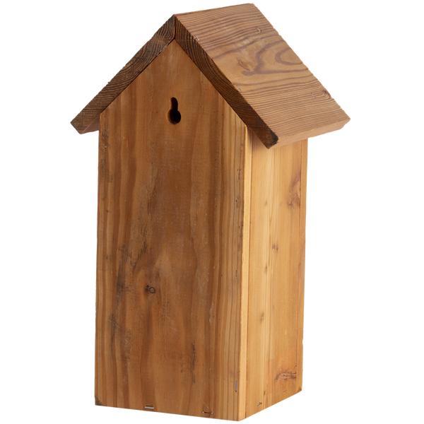 Nesting box Great tit Douglas Wood