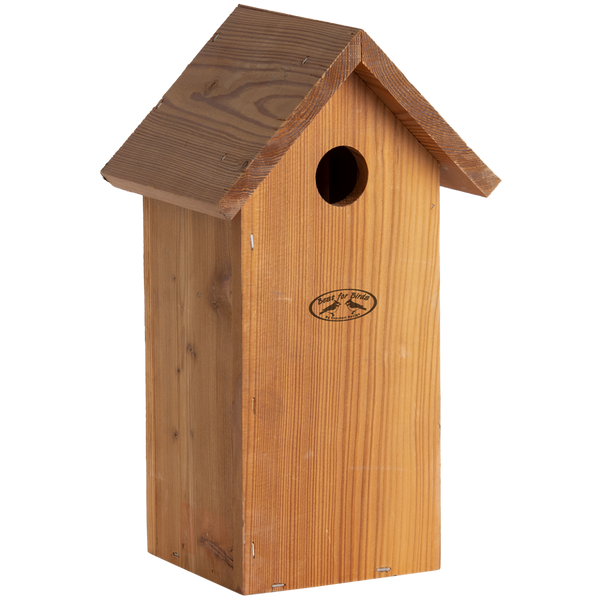 Nesting box Great tit Douglas Wood