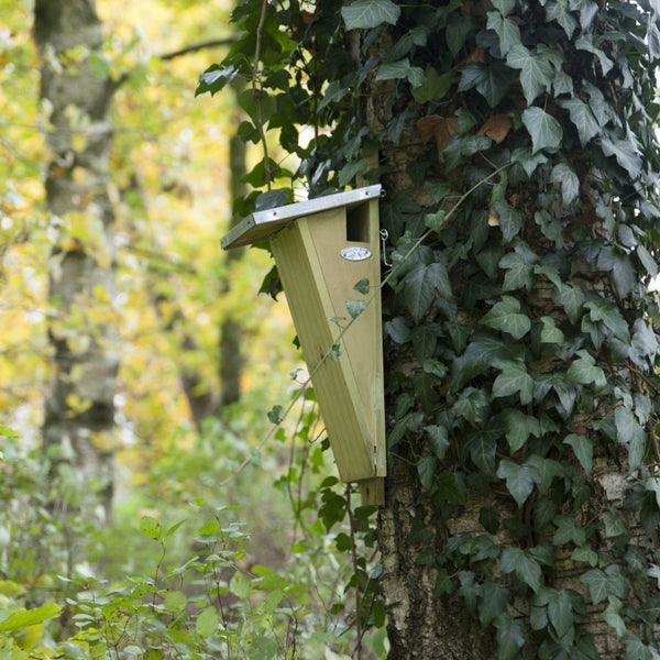 Treecreeper birdhouse