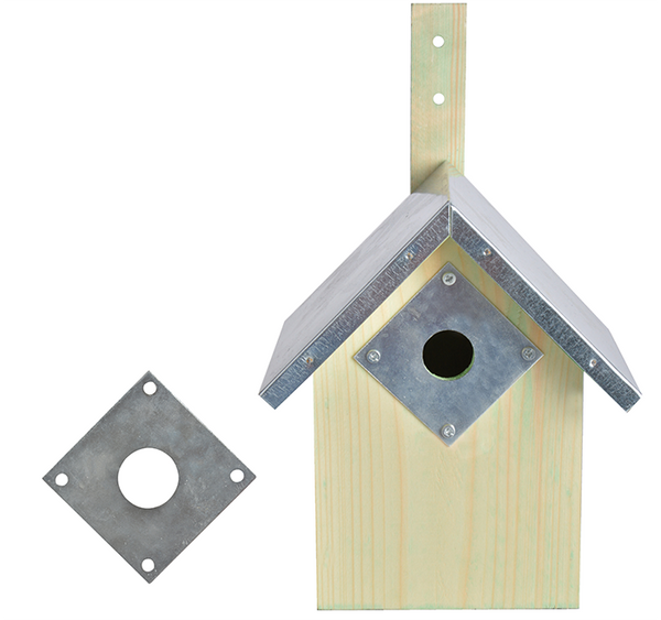Esschert Design - Protection plate blue tit bird