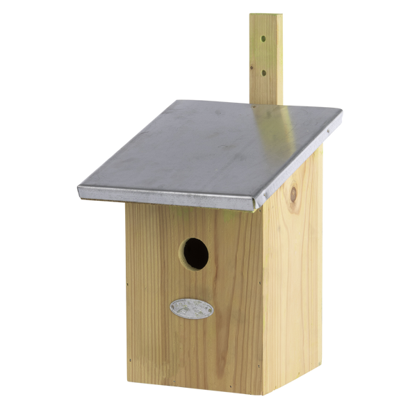 Vogelhäuschen mit Spiegelmeisen