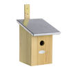 Vogelhäuschen mit Spiegelmeisen